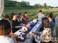 有试过在这么美丽的花海里品茶吗？