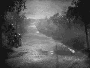 暴雨袭城！随州消防发布雷暴雨天气安全提示！