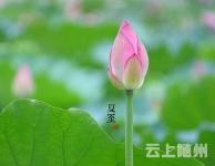 湖北今迎1年中最长的白天，双休或泡在雨水里