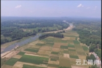  艾草堂牵手贫困户开启小步快跑致富模式