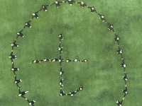 美！就是喜欢这样“不正经”的毕业照~