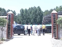 小艾草大经济  硕士研究生回乡创业带村民增收致富