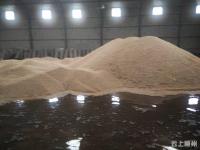 暴雨昨袭随城  100多万斤小麦被淹