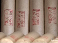 小艾草大经济  硕士研究生回乡创业带村民增收致富