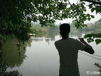 大发现！文化公园西北隅竟有一片杨梅林！