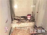 96平米的民宅要“变身”9间胶囊房， 每间房还都有厕所