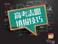 干货|掌握高考政策、填报技巧，助你决胜高考！