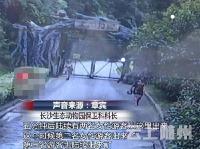  3游客逃票翻墙进猛兽区 落地时顿时傻眼 