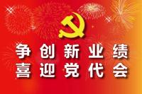 一图知晓，听听党代表们都说了些啥！
