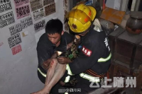 随州一老人家中突发大火 被逼上4楼防盗窗顶