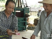 小艾草大经济  硕士研究生回乡创业带村民增收致富