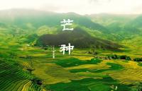 今日芒种丨收获幸福，再种下希望