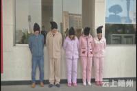随县警方成功打掉一电信诈骗团伙