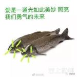 “十年寒窗，败给一条草鱼”的标准答案来了！和作者原意居然……