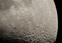 人类首次!重庆大学将在月球表面种土豆养蚕