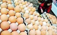  鸡蛋价格跌回10年前 有蛋鸡养殖户三天赔一万 