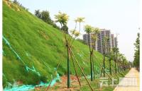 随州市道路建设与生态修复并重