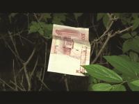 熊孩子打开妈妈钱包，将万元钞票8张卡撒下阳台