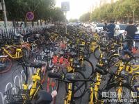 共享单车乱停乱放难治理 ofo、摩拜为交通“添堵” 