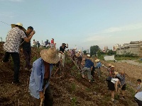 南郊办事处开展植树活动  为助推5A级景区创建添绿增彩