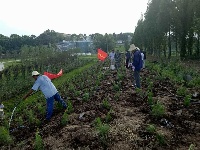 南郊办事处开展植树活动  为助推5A级景区创建添绿增彩