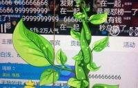 女子刷一亿礼物 要求主播5年内不谈恋爱