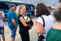“熊猫宝宝”现俄罗斯街头与游客合影 真身竟是...
