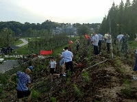 南郊办事处开展植树活动  为助推5A级景区创建添绿增彩