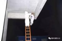 又见马蜂窝扰民！随州消防全副武装紧急出动！教你如何应对马蜂筑巢