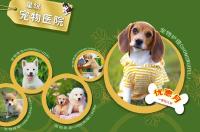 宠物医院乱象：宠物看病比人贵 花千元不给病历(图)