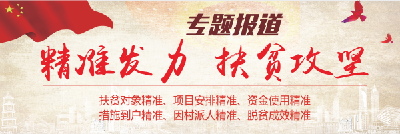 精准扶贫 攻坚克难