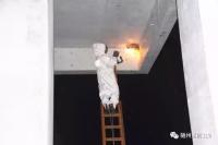 随州一工地惊现“足球大”马蜂窝，消防员连夜火攻摘除！切记， 马蜂窝不可随便“捅”！