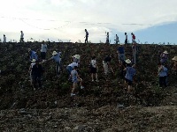 南郊办事处开展植树活动  为助推5A级景区创建添绿增彩