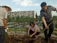 南郊办事处开展植树活动  为助推5A级景区创建添绿增彩