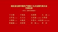 湖北省出席党的十九大代表名单！