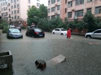 随州凌晨暴雨袭城，低洼地多处被淹