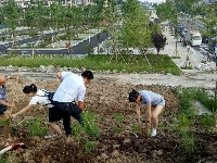 南郊办事处开展植树活动  为助推5A级景区创建添绿增彩