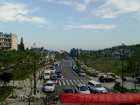 南郊办事处开展植树活动  为助推5A级景区创建添绿增彩