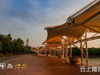 



《魅力随州》夏日色彩