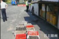 行李箱偷运野生动物被高警查获