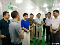 随县县委书记毕道丽一行到县开发区调研
