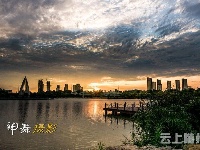 



《魅力随州》夏日色彩