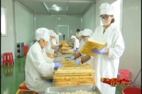 尚市镇新兴雄蜂蛹产业助力蜂农增收