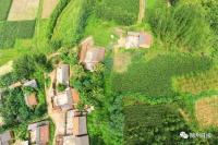 随州真牛！鄂北调水沿线出土珍贵文物多多，快来看···