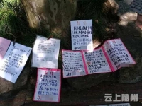 卧底相亲角:父母列硬指标给子女找有缘人