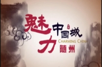 关于《魅力中国城》随州网络投票数下降的告知书