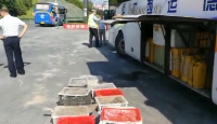 客车行李箱偷运野生动物  交警检查“露马脚”