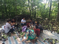接天莲叶无穷碧  映日荷花别样红