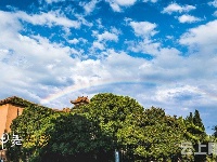 



《魅力随州》夏日色彩