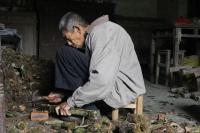 紧急求助！随州这里千斤板栗滞销，吃货们你们在哪里